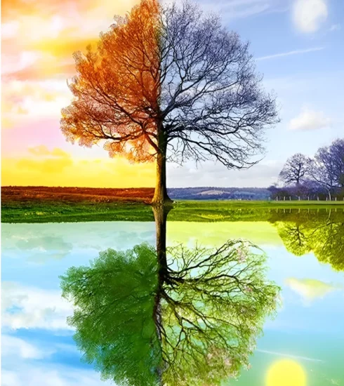 Four Seasons